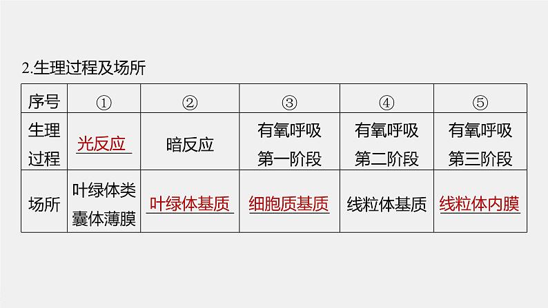 高中生物2022年高考生物一轮复习 第3单元 第10讲　光合作用与细胞呼吸的综合应用课件PPT06