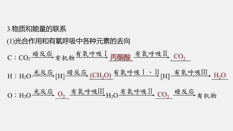 高中生物2022年高考生物一轮复习 第3单元 第10讲　光合作用与细胞呼吸的综合应用课件PPT07