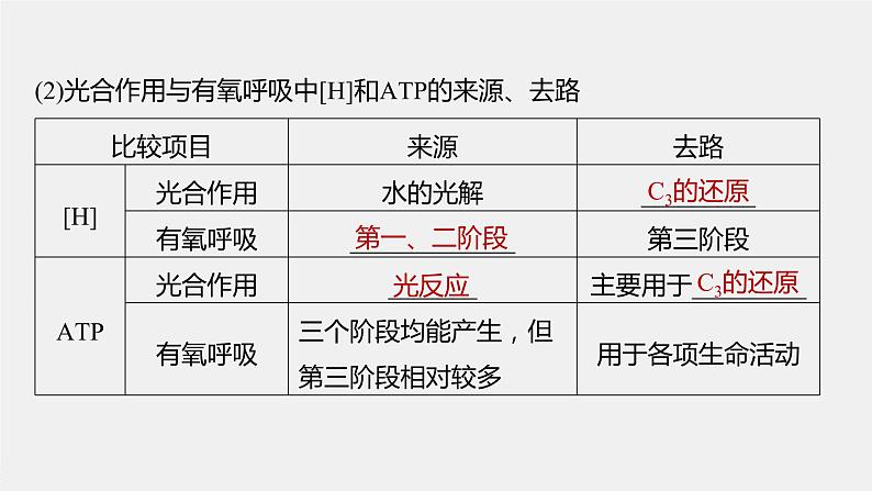 高中生物2022年高考生物一轮复习 第3单元 第10讲　光合作用与细胞呼吸的综合应用课件PPT08