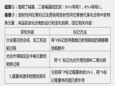 高中生物2022年高考生物一轮复习 第3单元 实验技能一   实验设计的基本原则课件PPT