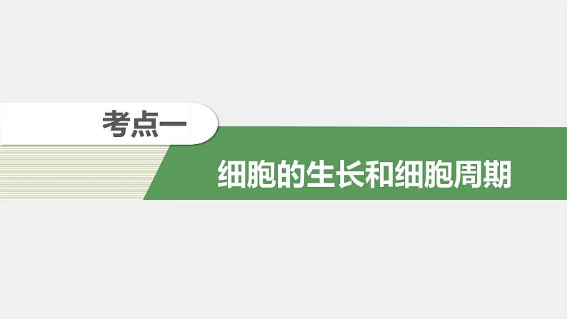 高中生物2022年高考生物一轮复习 第4单元 第11讲　细胞的增殖课件PPT第4页