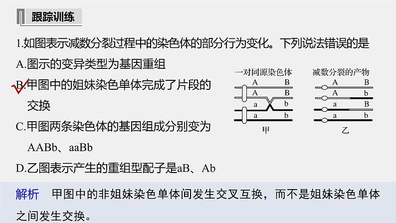 高中生物2022年高考生物一轮复习 第4单元 第12讲　热点题型二　减数分裂与可遗传变异的关系分析课件PPT第6页
