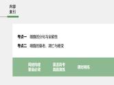 高中生物2022年高考生物一轮复习 第4单元 第13讲　细胞的分化、衰老、凋亡与癌变课件PPT