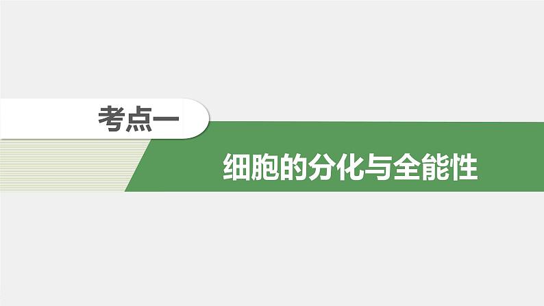 高中生物2022年高考生物一轮复习 第4单元 第13讲　细胞的分化、衰老、凋亡与癌变课件PPT第4页