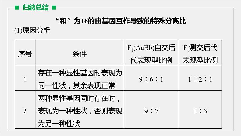 高中生物2022年高考生物一轮复习 第5单元 第15讲　热点题型四　自由组合定律中的特殊比例和实验探究课件PPT第4页