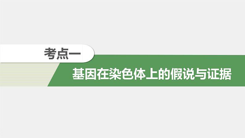 高中生物2022年高考生物一轮复习 第5单元 第16讲　基因在染色体上、伴性遗传和人类遗传病课件PPT04