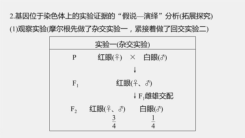 高中生物2022年高考生物一轮复习 第5单元 第16讲　基因在染色体上、伴性遗传和人类遗传病课件PPT06