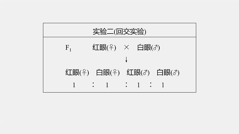 高中生物2022年高考生物一轮复习 第5单元 第16讲　基因在染色体上、伴性遗传和人类遗传病课件PPT07