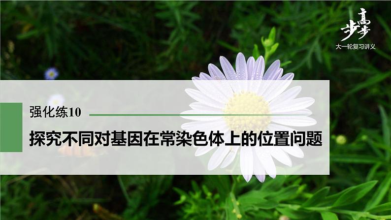 高中生物2022年高考生物一轮复习 第5单元 强化练10　探究不同对基因在常染色体上的位置问题课件PPT第1页