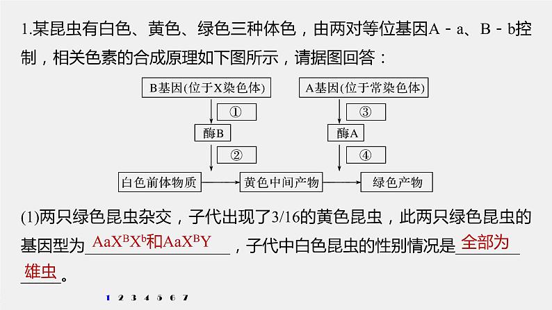 高中生物2022年高考生物一轮复习 第5单元 强化练11　伴性遗传相关实验设计课件PPT第2页