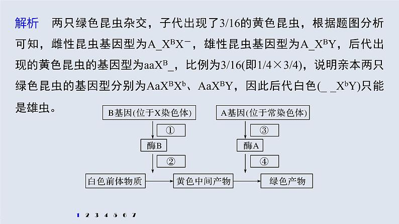 高中生物2022年高考生物一轮复习 第5单元 强化练11　伴性遗传相关实验设计课件PPT第3页