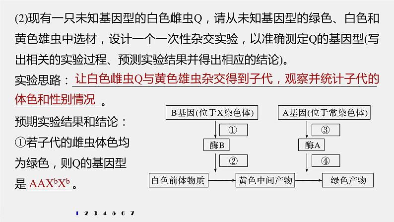 高中生物2022年高考生物一轮复习 第5单元 强化练11　伴性遗传相关实验设计课件PPT第4页