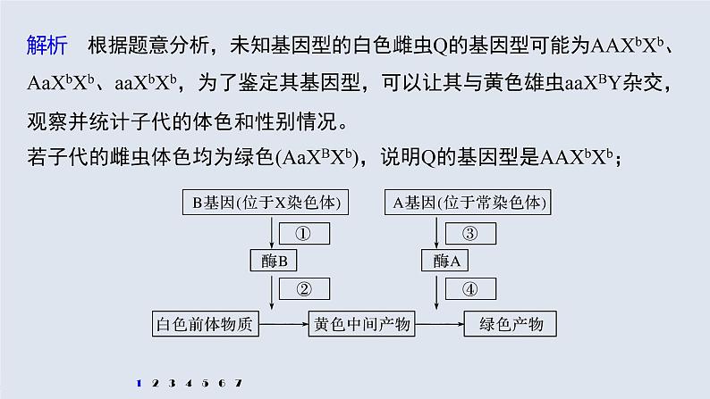 高中生物2022年高考生物一轮复习 第5单元 强化练11　伴性遗传相关实验设计课件PPT第5页