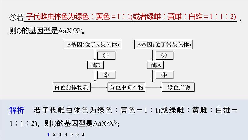 高中生物2022年高考生物一轮复习 第5单元 强化练11　伴性遗传相关实验设计课件PPT第6页