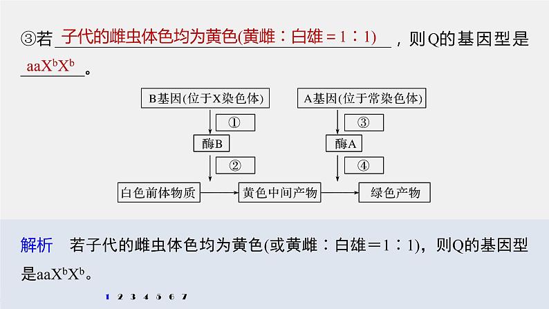 高中生物2022年高考生物一轮复习 第5单元 强化练11　伴性遗传相关实验设计课件PPT第7页