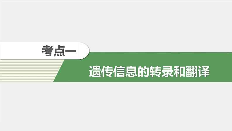 高中生物2022年高考生物一轮复习 第6单元 第19讲　基因的表达课件PPT04