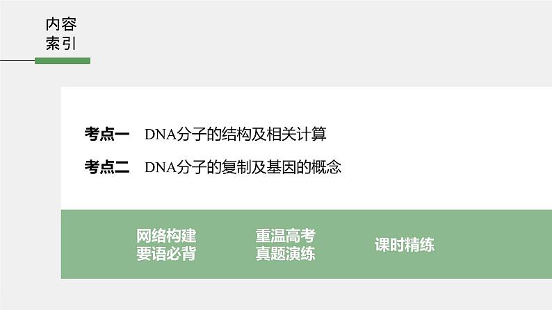 高中生物2022年高考生物一轮复习 第6单元 第18讲　DNA分子的结构、复制及基因的本质课件PPT第3页