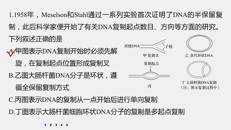 高中生物2022年高考生物一轮复习 第6单元 强化练12　DNA复制和表达的相关图像分析课件PPT02