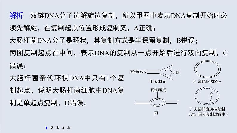 高中生物2022年高考生物一轮复习 第6单元 强化练12　DNA复制和表达的相关图像分析课件PPT03