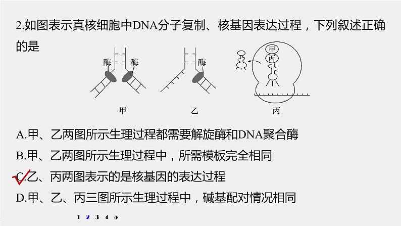 高中生物2022年高考生物一轮复习 第6单元 强化练12　DNA复制和表达的相关图像分析课件PPT04