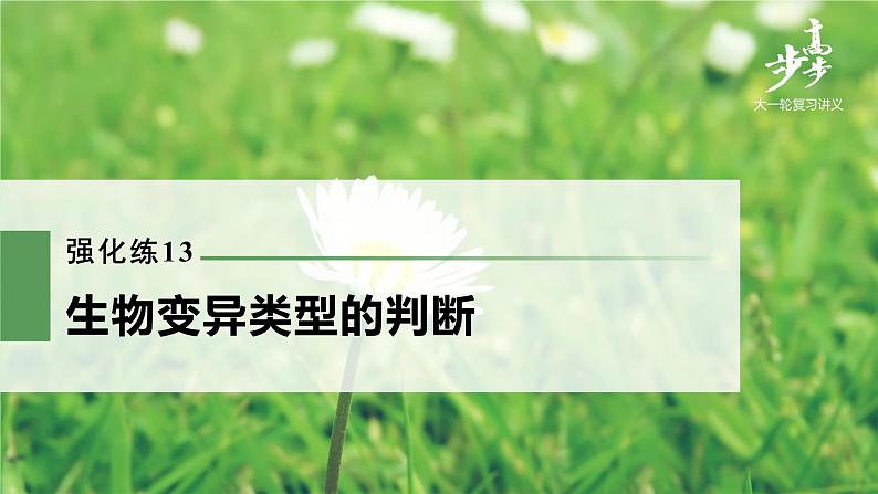 高中生物2022年高考生物一轮复习 第7单元 强化练13　生物变异类型的判断课件PPT第1页