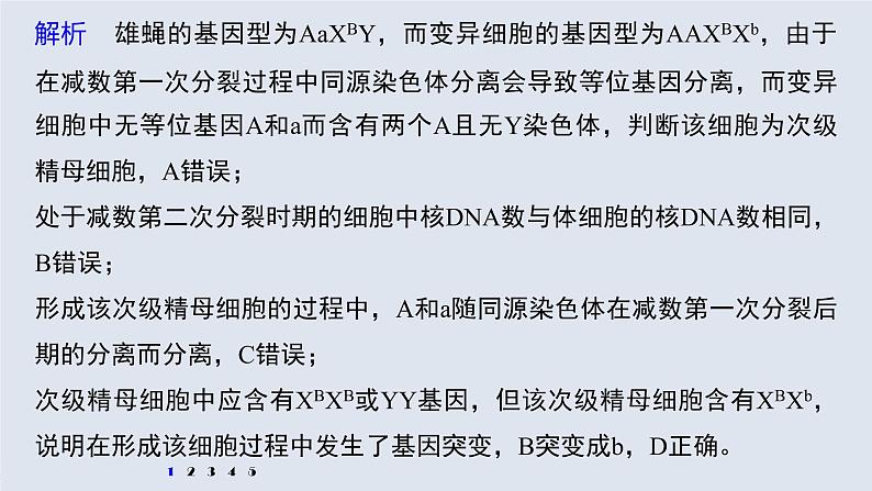 高中生物2022年高考生物一轮复习 第7单元 强化练13　生物变异类型的判断课件PPT第3页