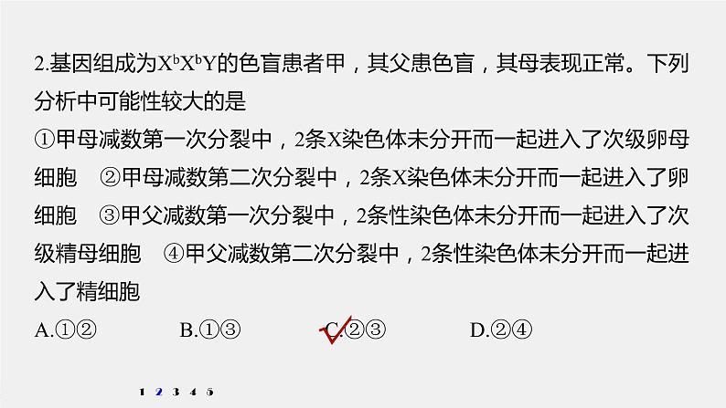 高中生物2022年高考生物一轮复习 第7单元 强化练13　生物变异类型的判断课件PPT第4页