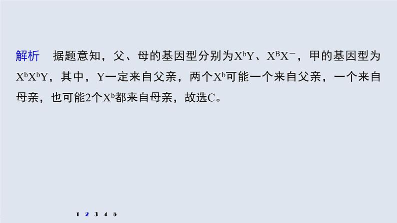 高中生物2022年高考生物一轮复习 第7单元 强化练13　生物变异类型的判断课件PPT第5页