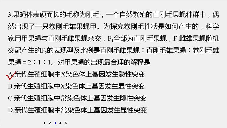 高中生物2022年高考生物一轮复习 第7单元 强化练13　生物变异类型的判断课件PPT第6页