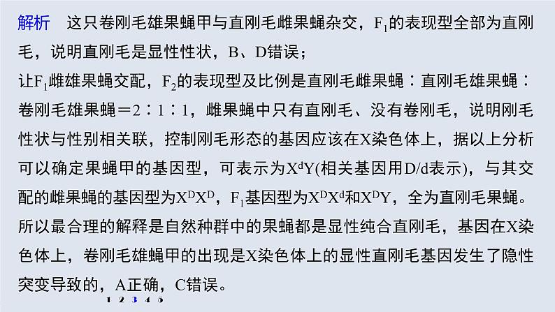 高中生物2022年高考生物一轮复习 第7单元 强化练13　生物变异类型的判断课件PPT第7页