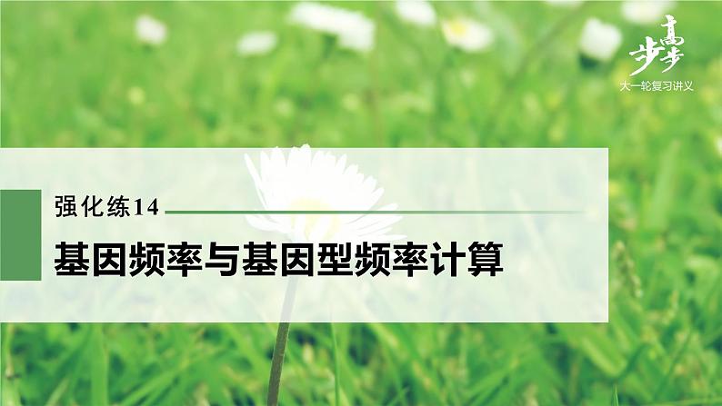 高中生物2022年高考生物一轮复习 第7单元 强化练14　基因频率与基因型频率计算课件PPT第1页