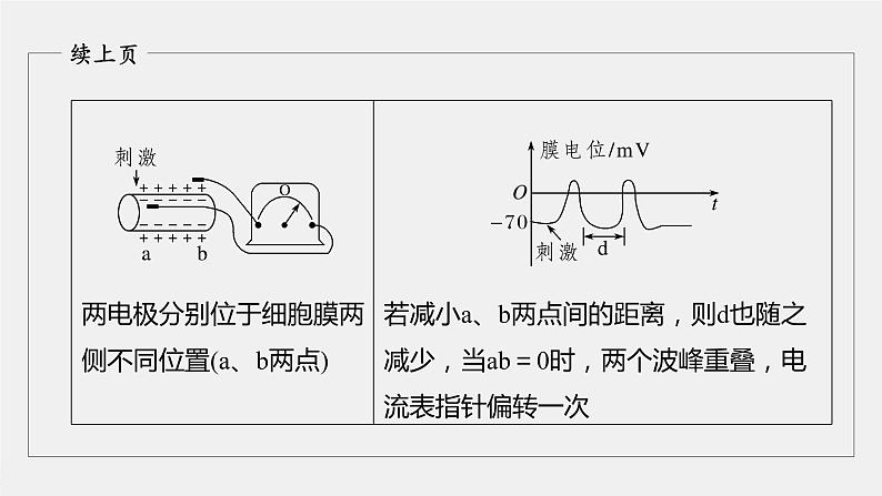 高中生物2022年高考生物一轮复习 第8单元 第24讲 热点题型七　兴奋传导与传递的相关实验探究题课件PPT04