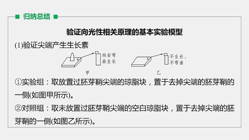 高中生物2022年高考生物一轮复习 第8单元 第27讲 热点题型九   植物激素调节的相关实验探究课件PPT第4页