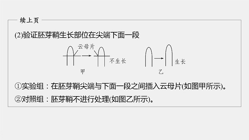 高中生物2022年高考生物一轮复习 第8单元 第27讲 热点题型九   植物激素调节的相关实验探究课件PPT第5页