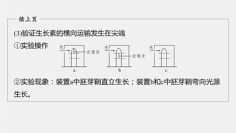 高中生物2022年高考生物一轮复习 第8单元 第27讲 热点题型九   植物激素调节的相关实验探究课件PPT第6页