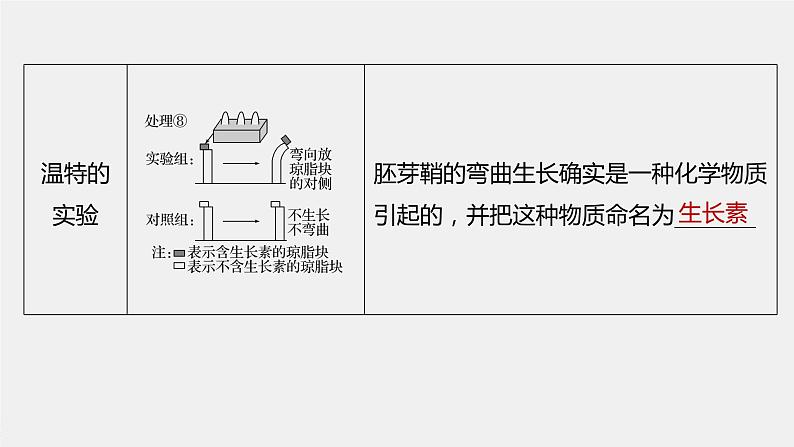 高中生物2022年高考生物一轮复习 第8单元 第27讲　植物的激素调节课件PPT07