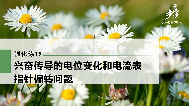 高中生物2022年高考生物一轮复习 第8单元 强化练15　兴奋传导的电位变化和电流表指针偏转问题课件PPT01