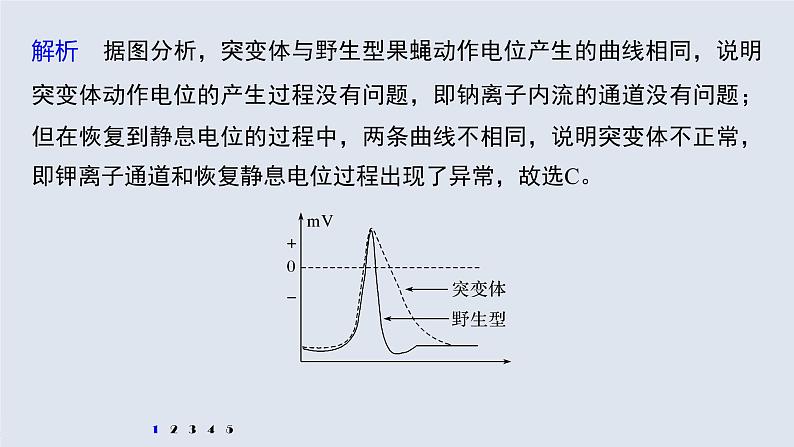 高中生物2022年高考生物一轮复习 第8单元 强化练15　兴奋传导的电位变化和电流表指针偏转问题课件PPT03