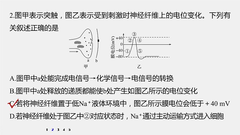 高中生物2022年高考生物一轮复习 第8单元 强化练15　兴奋传导的电位变化和电流表指针偏转问题课件PPT04