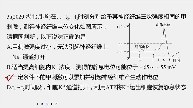 高中生物2022年高考生物一轮复习 第8单元 强化练15　兴奋传导的电位变化和电流表指针偏转问题课件PPT06