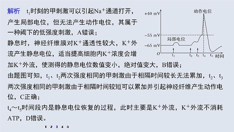 高中生物2022年高考生物一轮复习 第8单元 强化练15　兴奋传导的电位变化和电流表指针偏转问题课件PPT07