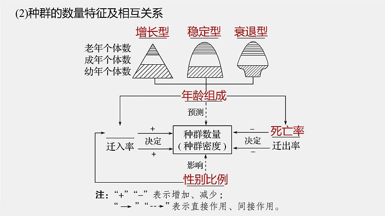 高中生物2022年高考生物一轮复习 第9单元 第28讲　种群的特征和数量变化课件PPT06