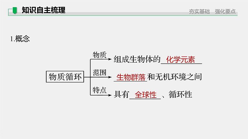 高中生物2022年高考生物一轮复习 第9单元 第31讲　生态系统的物质循环、信息传递及其稳定性课件PPT第5页