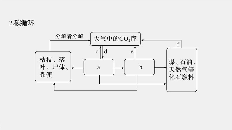 高中生物2022年高考生物一轮复习 第9单元 第31讲　生态系统的物质循环、信息传递及其稳定性课件PPT第6页