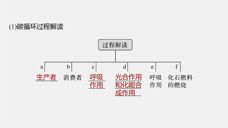 高中生物2022年高考生物一轮复习 第9单元 第31讲　生态系统的物质循环、信息传递及其稳定性课件PPT第7页