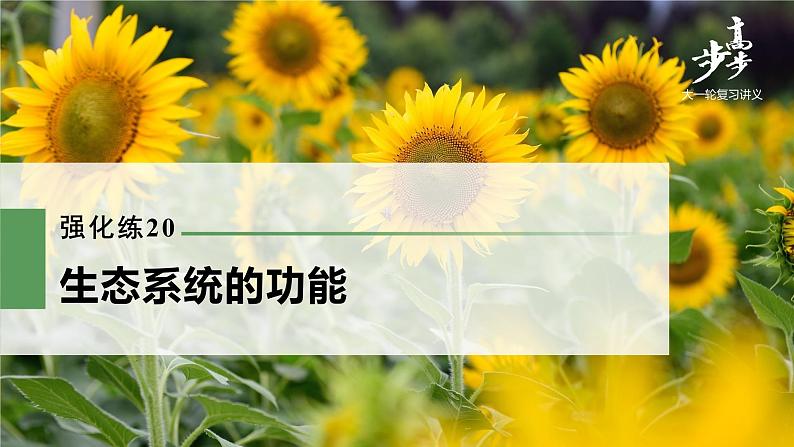 高中生物2022年高考生物一轮复习 第9单元 强化练20　生态系统的功能课件PPT第1页