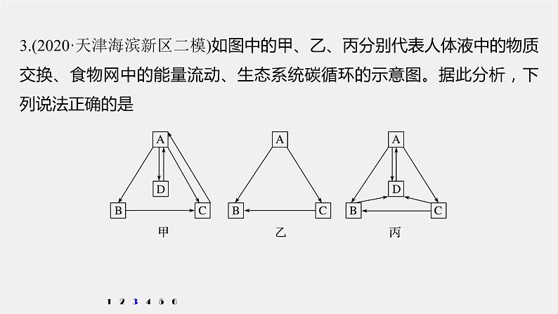 高中生物2022年高考生物一轮复习 第9单元 强化练20　生态系统的功能课件PPT第6页