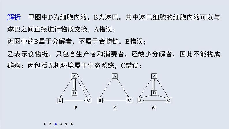 高中生物2022年高考生物一轮复习 第9单元 强化练20　生态系统的功能课件PPT第8页