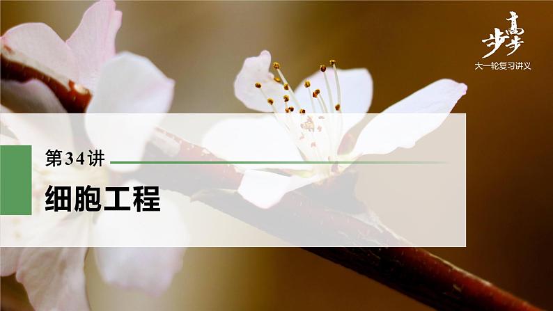 高中生物2022年高考生物一轮复习 第10单元 第34讲　细胞工程课件PPT第1页
