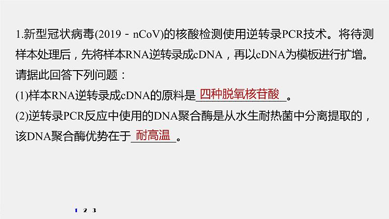 高中生物2022年高考生物一轮复习 第10单元 强化练21　PCR技术的应用课件PPT02